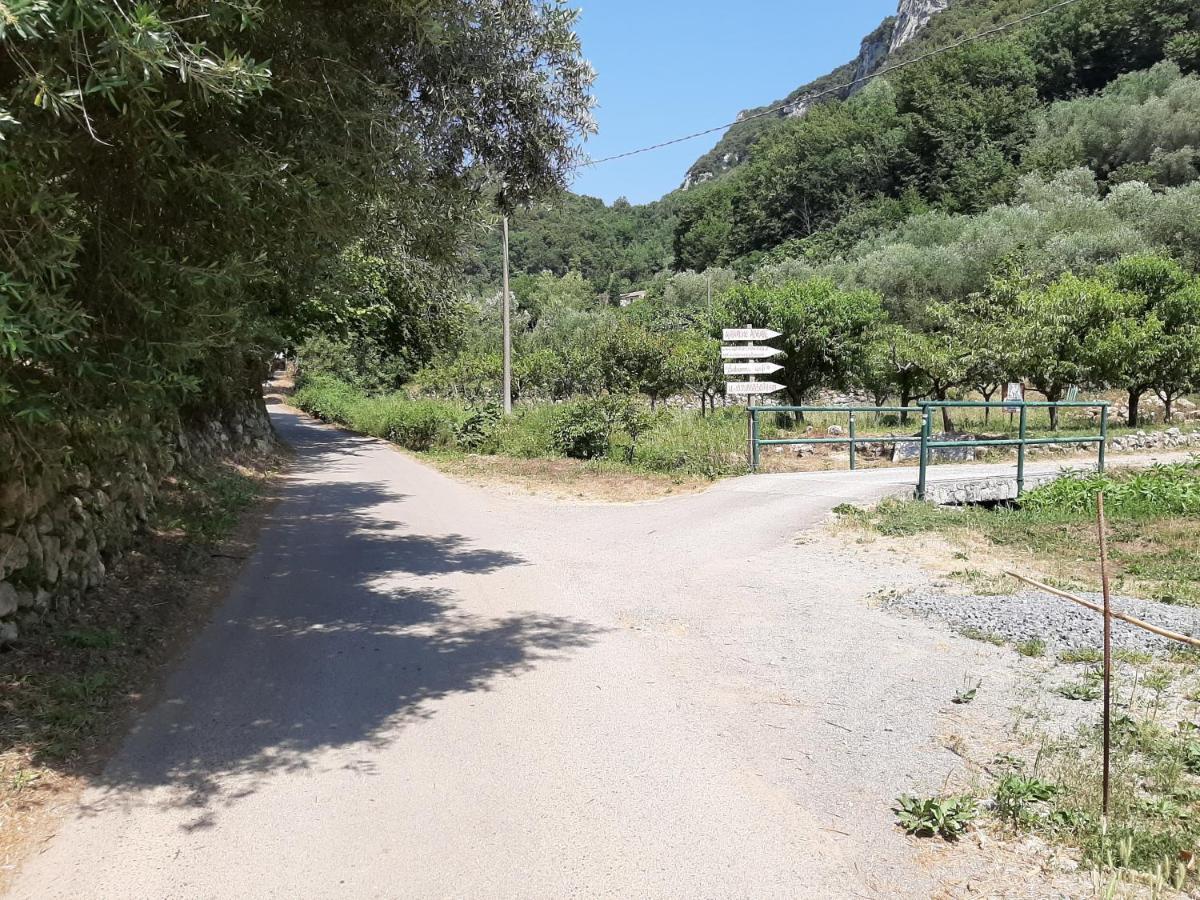 Agriturismo Alveare Finale Ligure Bagian luar foto