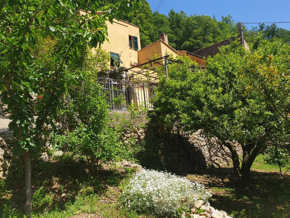 Agriturismo Alveare Finale Ligure Bagian luar foto
